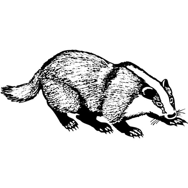 BADGER03 Vignette