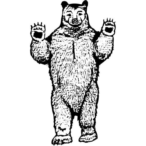 BEAR009 Vignette