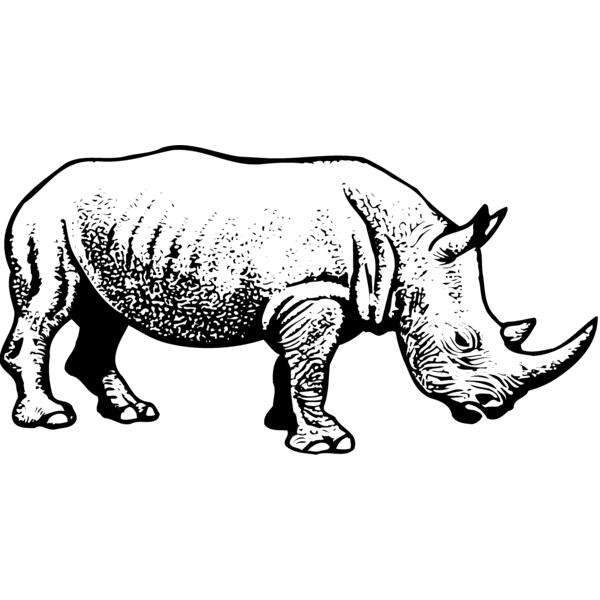 RHINO001 Vignette