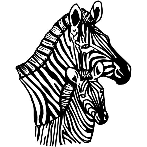 ZEBRA002 Vignette