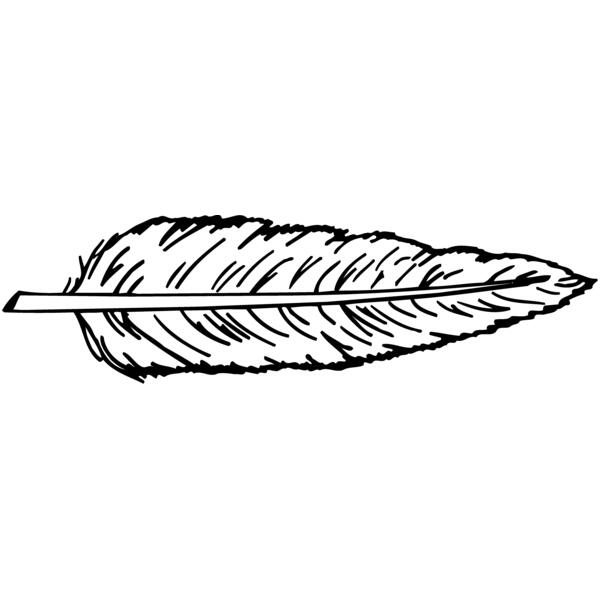 FEATHER Vignette