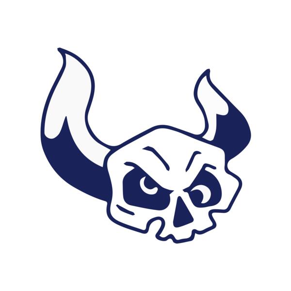 Elements Skulls logo template 38 Vignette