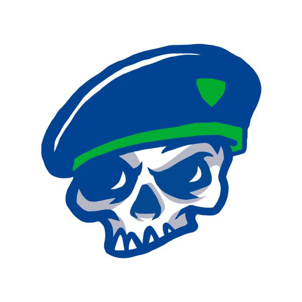 Elements Skulls logo template 100 Vignette