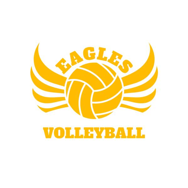 Volleyball 11 Vignette