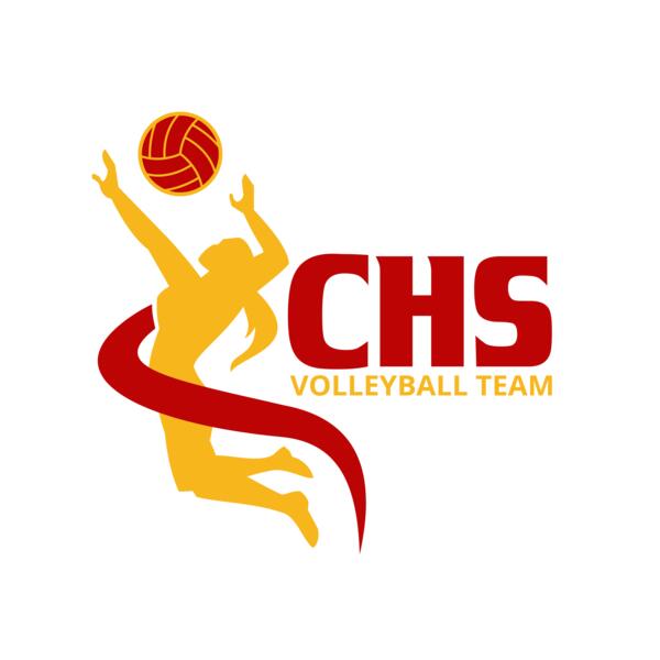 Volleyball 23 Vignette