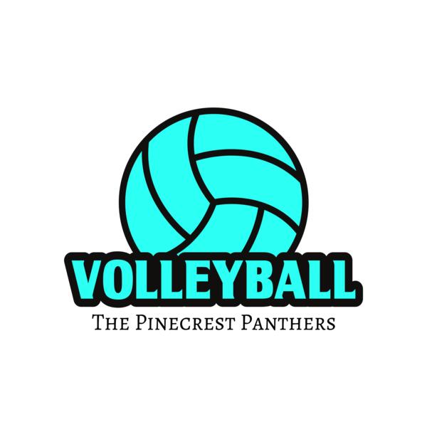 Volleyball 37 Vignette