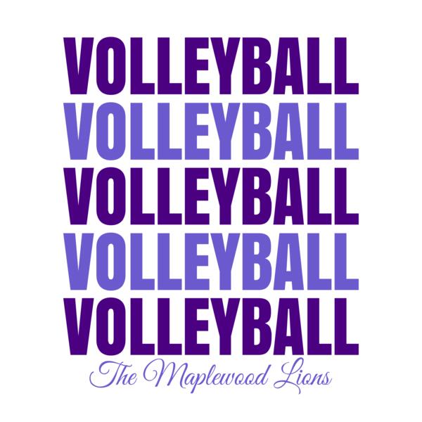 Volleyball 44 Vignette