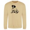 Sweat col rond 80% coton  Vignette